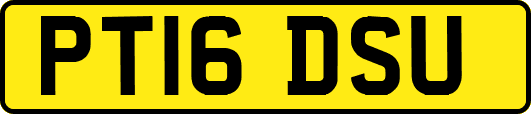 PT16DSU