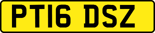 PT16DSZ