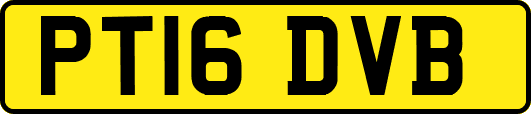 PT16DVB