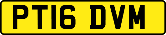 PT16DVM