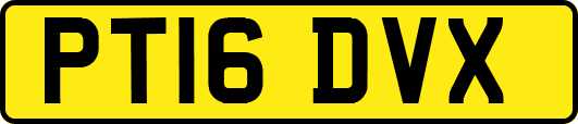 PT16DVX
