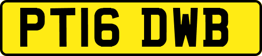 PT16DWB