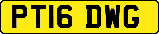 PT16DWG