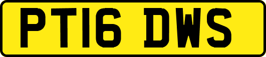 PT16DWS