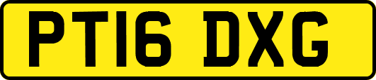 PT16DXG