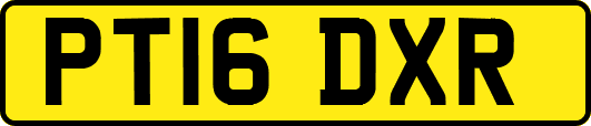 PT16DXR