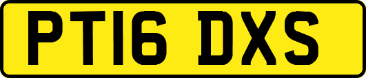 PT16DXS