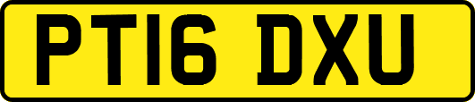 PT16DXU