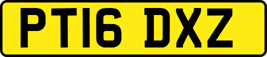 PT16DXZ