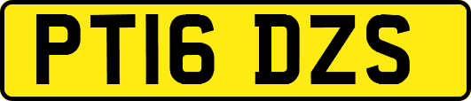 PT16DZS