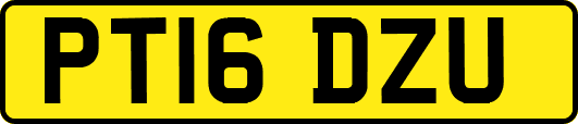 PT16DZU