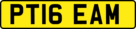 PT16EAM