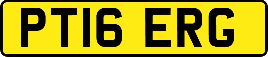 PT16ERG