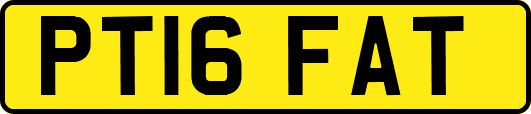 PT16FAT