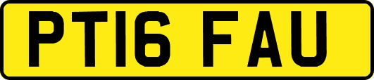 PT16FAU