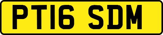 PT16SDM