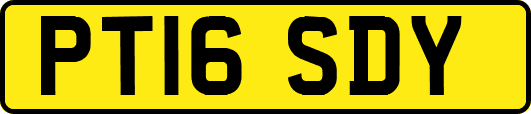 PT16SDY