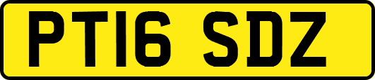 PT16SDZ
