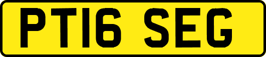 PT16SEG