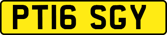 PT16SGY