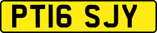 PT16SJY