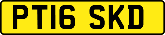 PT16SKD