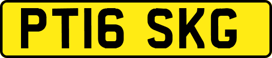 PT16SKG