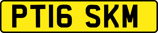 PT16SKM