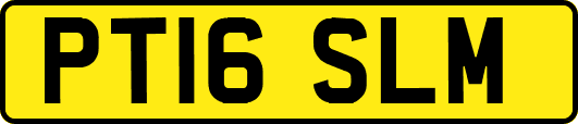 PT16SLM