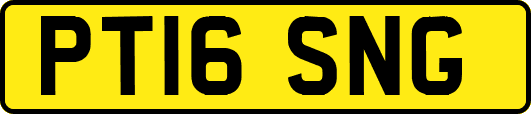 PT16SNG