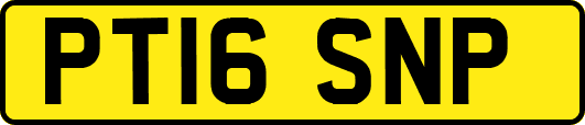 PT16SNP