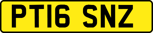 PT16SNZ