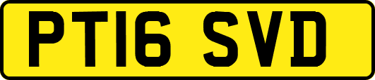 PT16SVD
