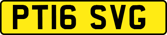 PT16SVG