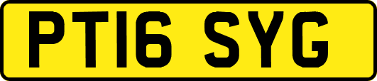 PT16SYG