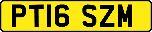 PT16SZM