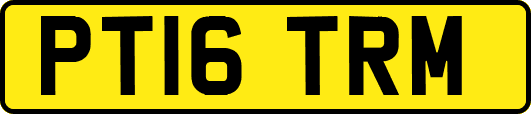 PT16TRM