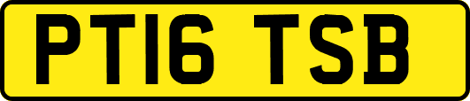 PT16TSB