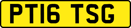 PT16TSG