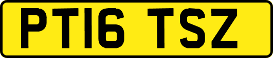 PT16TSZ