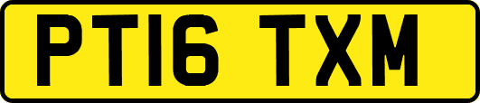 PT16TXM