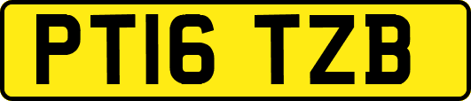 PT16TZB