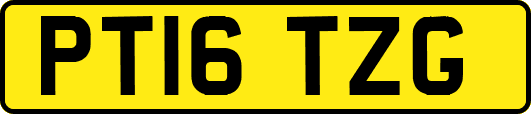 PT16TZG