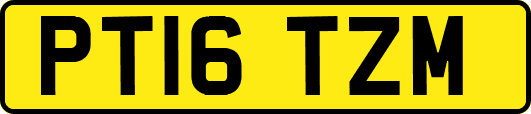 PT16TZM