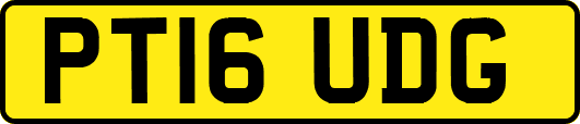 PT16UDG