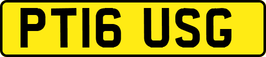 PT16USG