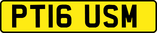 PT16USM