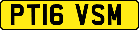 PT16VSM
