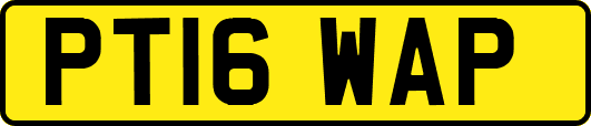 PT16WAP