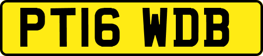 PT16WDB
